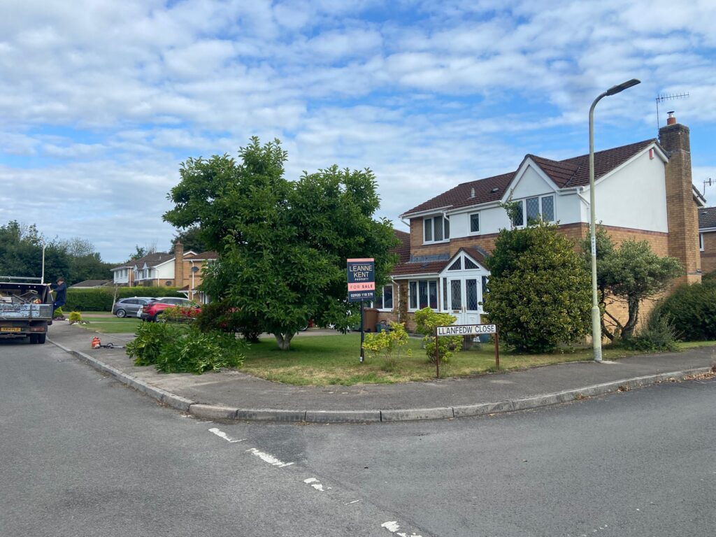 tree removal Caerphilly