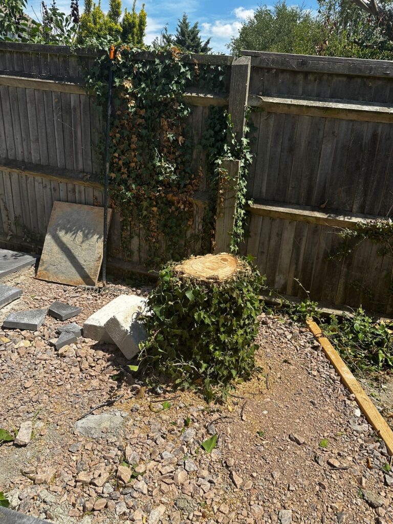 tree removal swindon