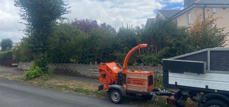Hedge cutting penarth