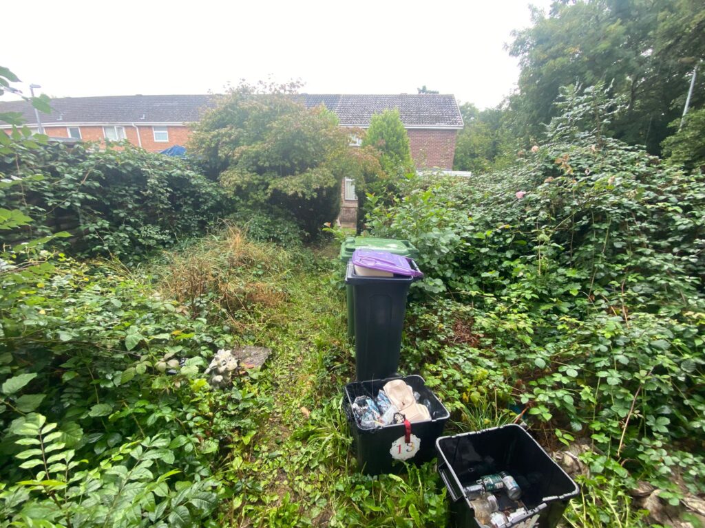 Garden clearance Newport