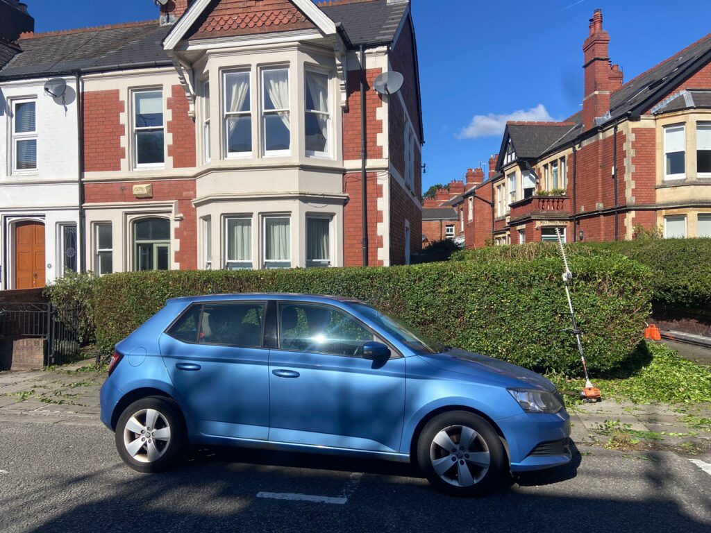 hedge trimming Penarth
