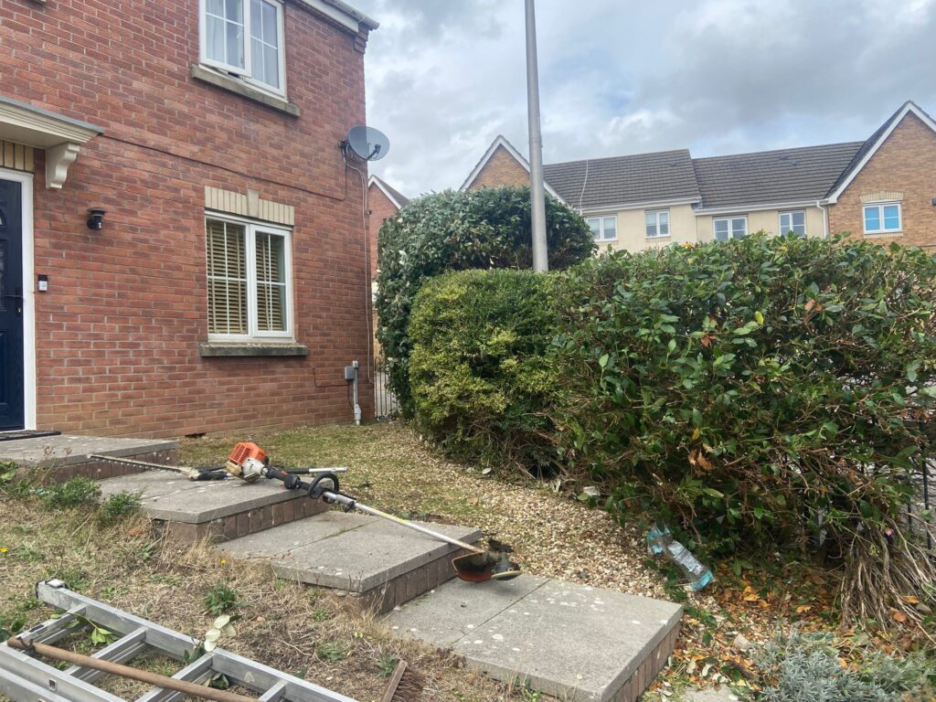 hedge trimming Rhoose
