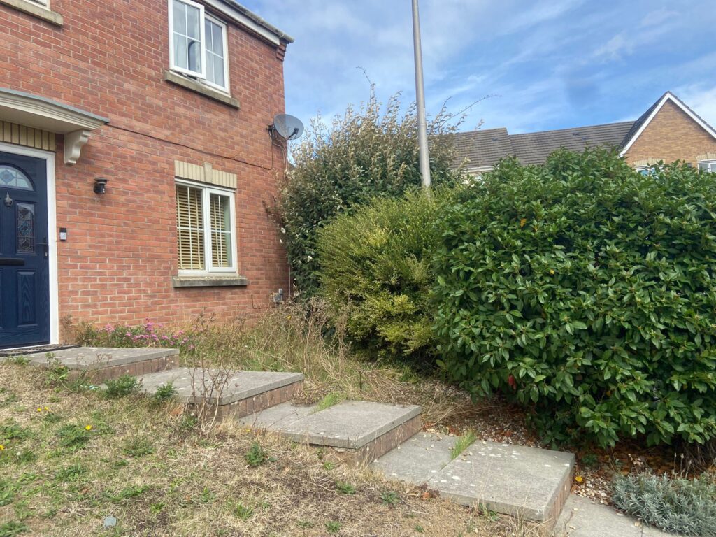 hedge trimming Rhoose