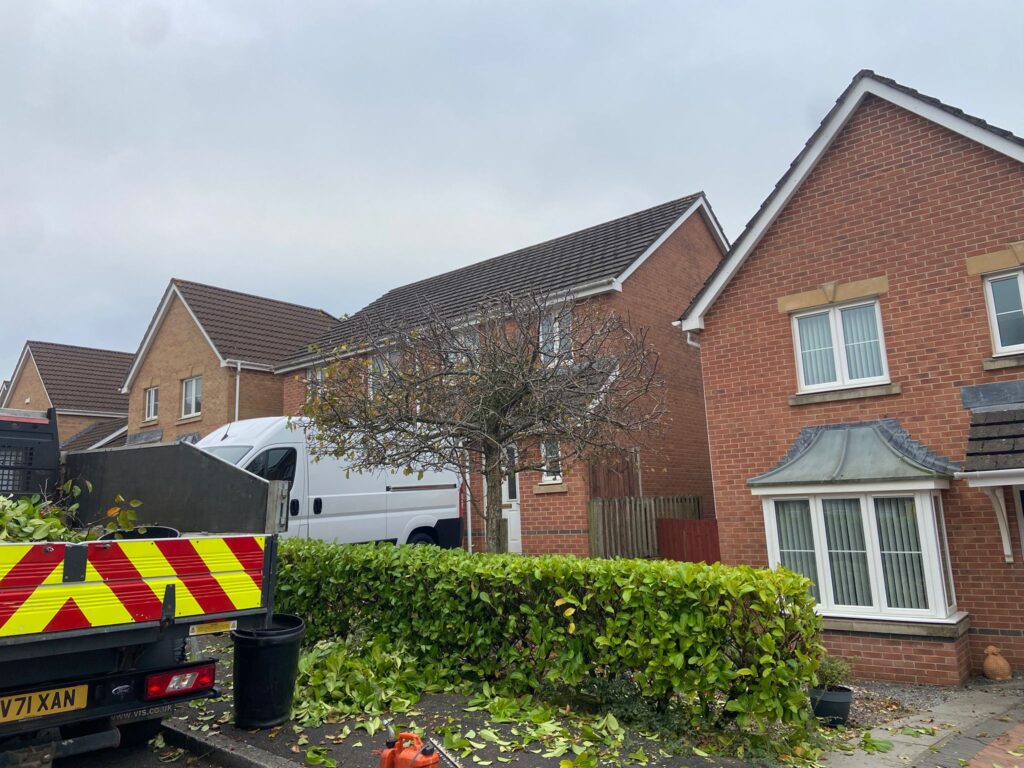 hedge trimming bridgend