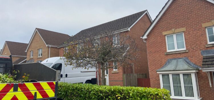 hedge trimming bridgend