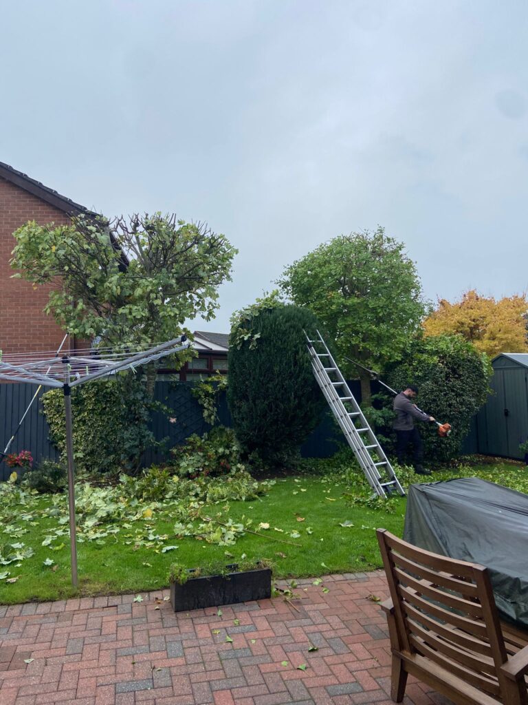 hedge cutting cardiff