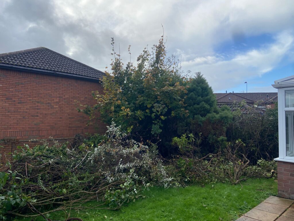 Tree shrub removal cardiff