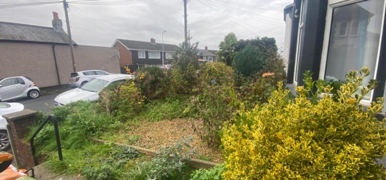 garden clearance newport