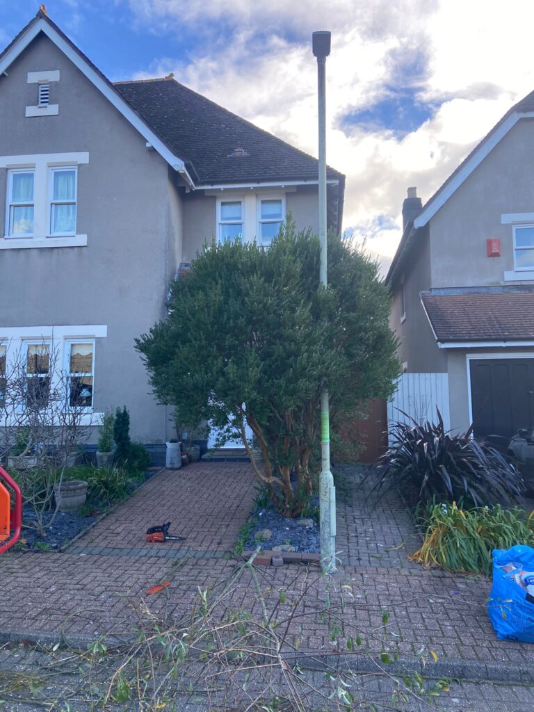 Hedge Reduction Bridgend