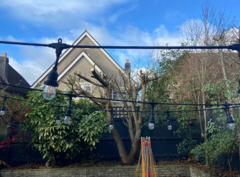 Hedge Reduction Bridgend