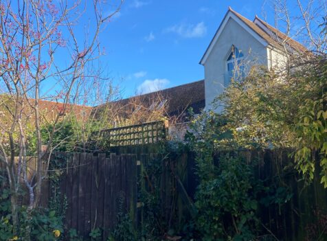 Hedge Reduction Bridgend