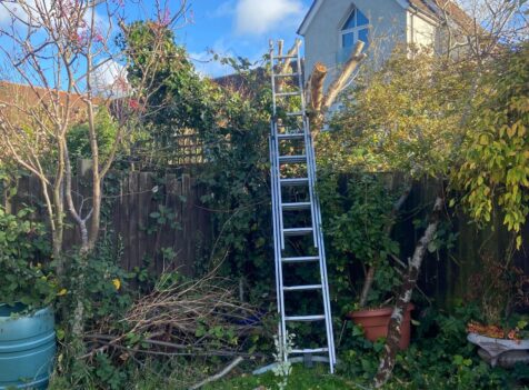 Hedge Reduction Bridgend