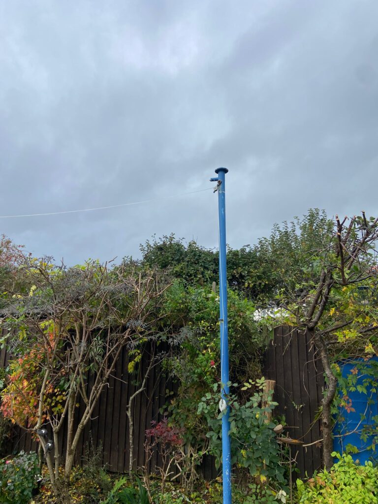 tree trimming Penarth