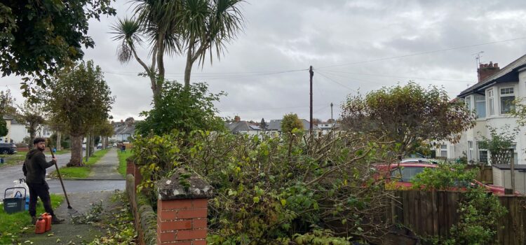 hedge tree trimming Penarth