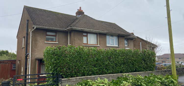 hedge maintenace in Abertridwr