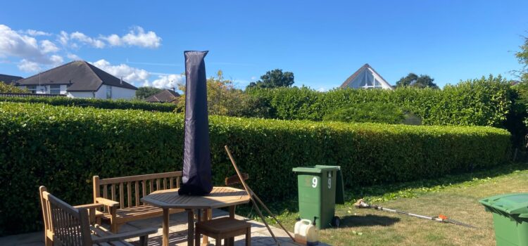 large Hedge Cutting Cardiff