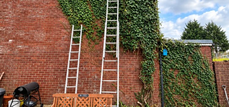 Ivy Removal Cardiff