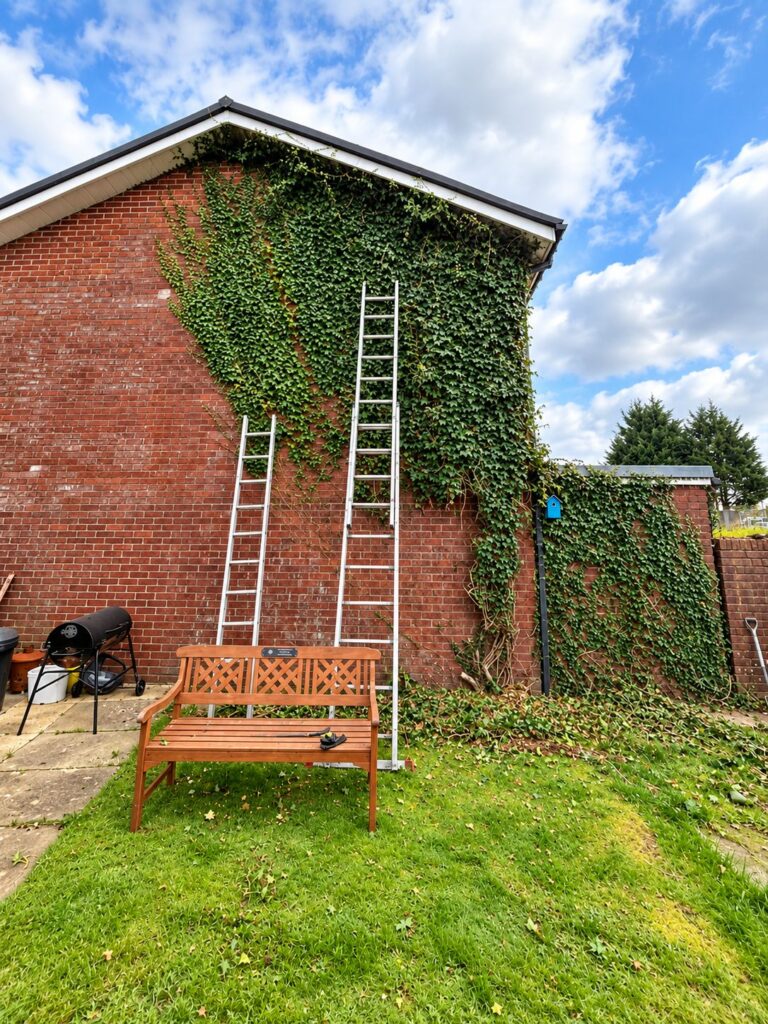 Ivy Removal Cardiff